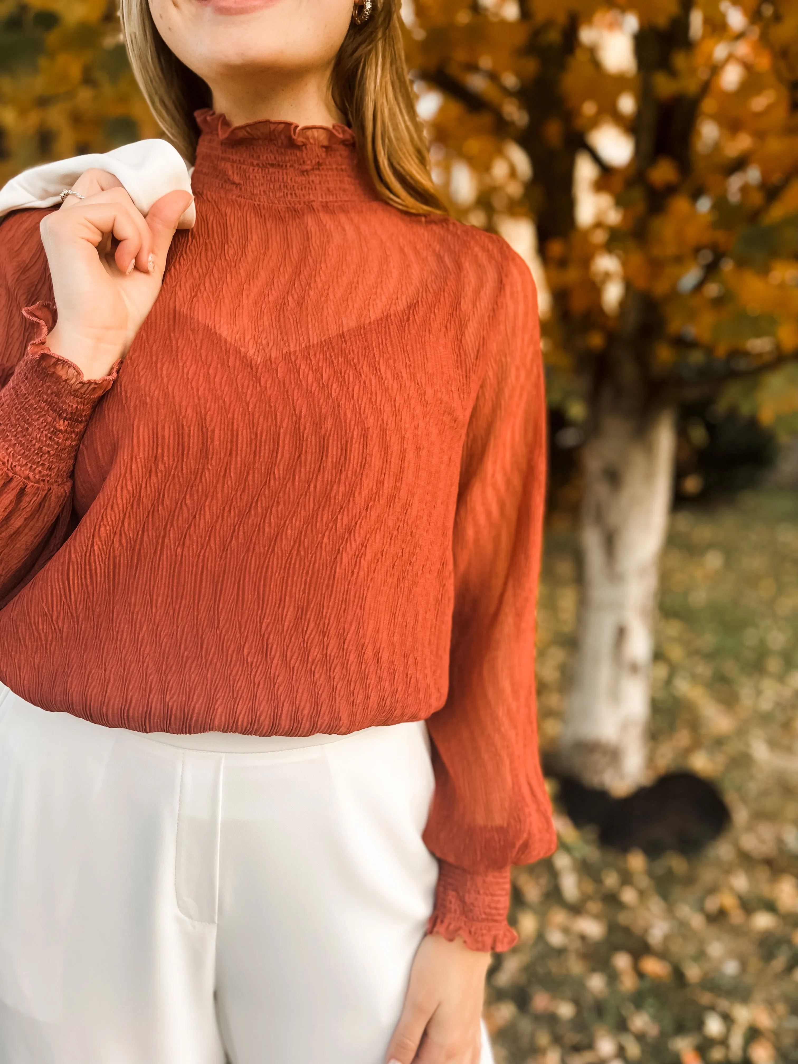 Christmas Cheer Sheer Blouse