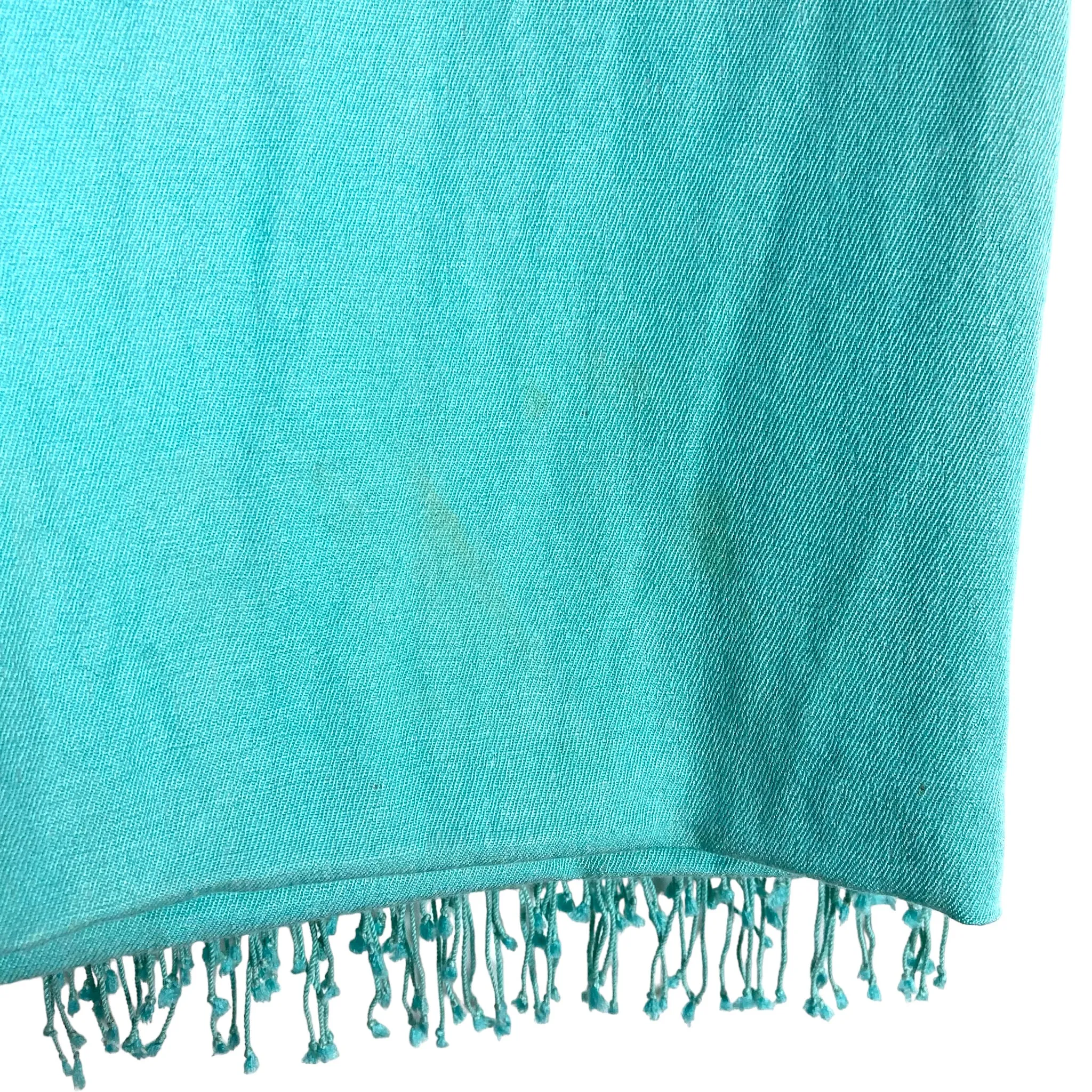 No Brand Mint Green Tassel Fringe Scarf (see notes)