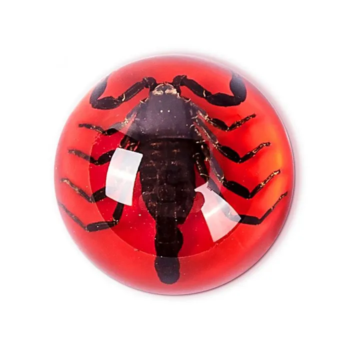 Red Mini Dome Asst. Insect (PICK ONE)