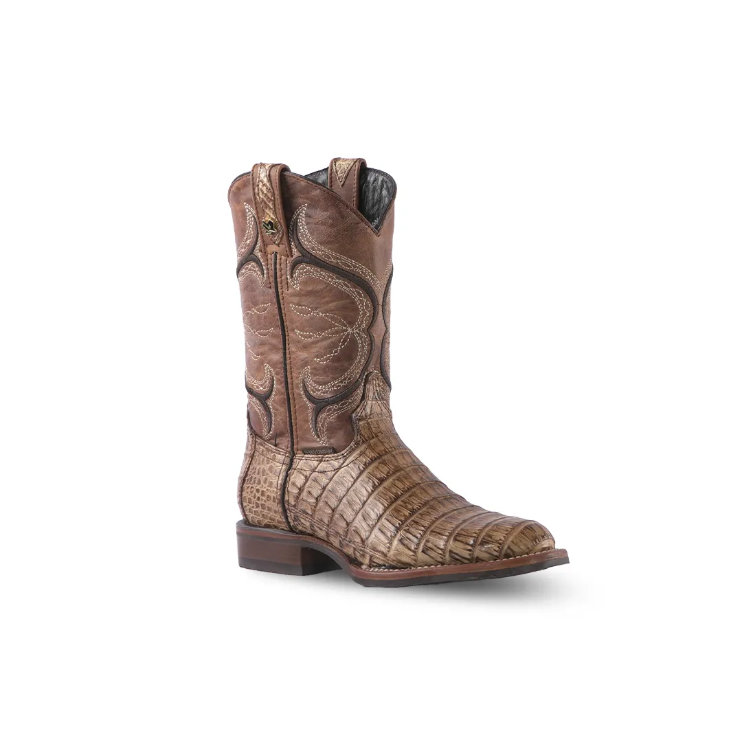 Texas Country Exotic Boot Zeus Caiman Belly Antique Hule